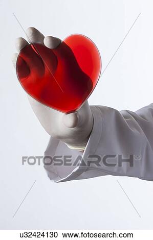 Stock Image - MODEL RELEASED. Person wearing latex glove holding red heart.. Fotosearch