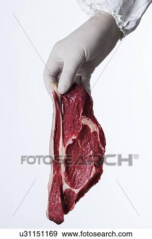 MODEL RELEASED. Person wearing latex glove holding raw meat. View Large Photo Image Stock Photo - MODEL RELEASED. Person wearing latex glove holding raw meat.. Fotosearch