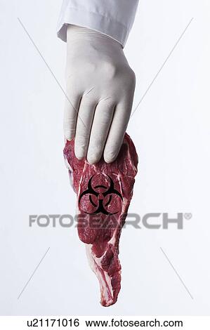 MODEL RELEASED. Person wearing latex glove holding raw meat with biohazard symbol. View Large Photo Image Stock Photograph - MODEL RELEASED. Person wearing latex glove holding raw meat with biohazard symbol.. Fotosearch