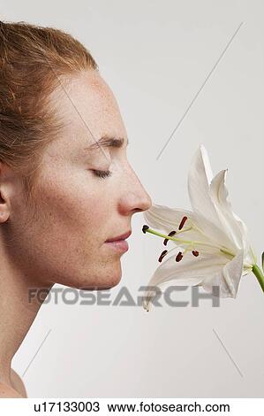 MODEL RELEASED. Profile of female face smelling white lily flower. View Large Photo Image Stock Image - MODEL RELEASED. Profile of female face smelling white lily flower.. Fotosearch