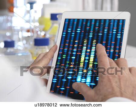MODEL RELEASED. Scientist viewing results of a genetic test on a digital tablet. View Large Photo Image Stock Image - MODEL RELEASED. Scientist viewing results of a genetic test on a digital tablet.. Fotosearch