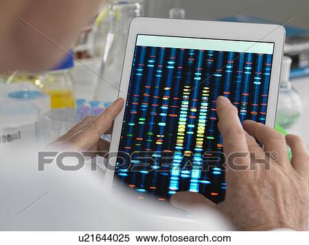 Stock Photography - MODEL RELEASED. Scientist viewing results of a genetic test on a digital tablet.. Fotosearch