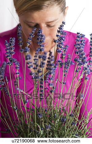 MODEL RELEASED. Woman with lavender, studio shot. View Large Photo Image Stock Photo - MODEL RELEASED. Woman with lavender, studio shot.. Fotosearch