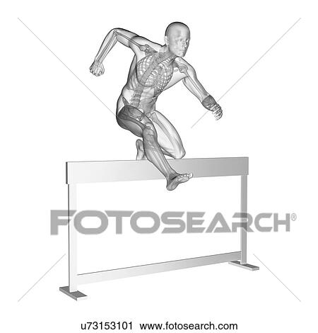 Stock Image - Person hurdling showing skeletal system, illustration.. Fotosearch
