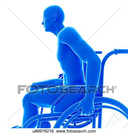Stock Photograph - Person in wheelchair, illustration.. Fotosearch