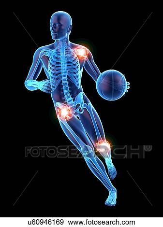 Stock Photo - Person playing basketball showing joints, illustration.. Fotosearch