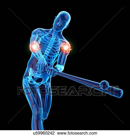 Stock Image - Person using baseball bat showing joints, illustration.. Fotosearch