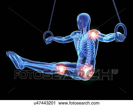 Stock Image - Person using gymnastic rings showing joints, illustration.. Fotosearch