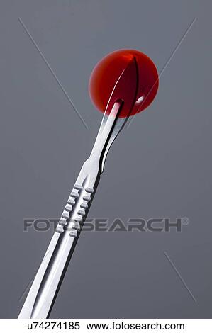 Red spot on surgical scalpel. View Large Photo Image Stock Photography - Red spot on surgical scalpel.. Fotosearch