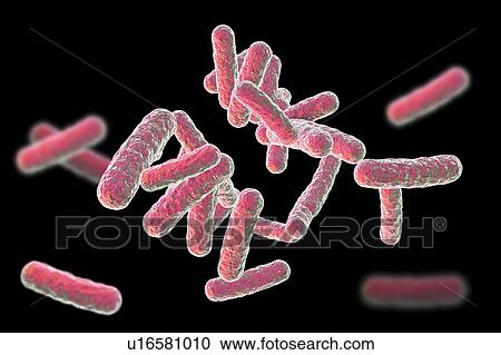 Rod-shaped bacteria, illustration View Large Photo Image Stock Image - Rod-shaped bacteria, illustration. Fotosearch