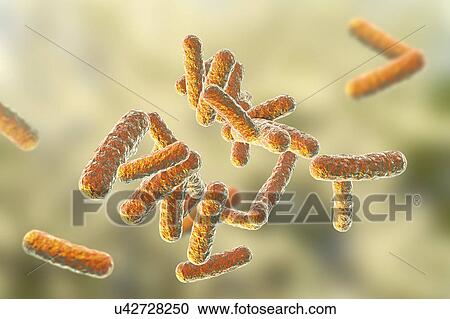Stock Image - Rod-shaped bacteria, illustration. Fotosearch