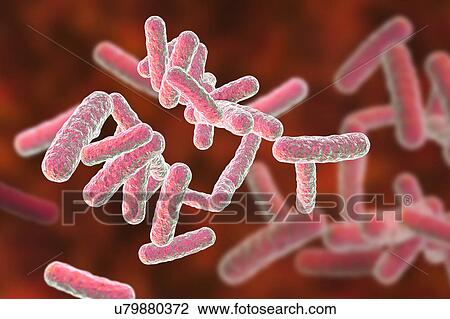 Stock Image - Rod-shaped bacteria, illustration. Fotosearch