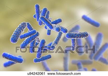 Rod-shaped bacteria, illustration View Large Photo Image Stock Image - Rod-shaped bacteria, illustration. Fotosearch