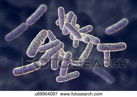 Stock Photo - Rod-shaped bacteria, illustration. Fotosearch