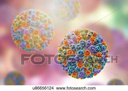 Rotavirus particle, illustration View Large Photo Image Picture - Rotavirus particle, illustration. Fotosearch