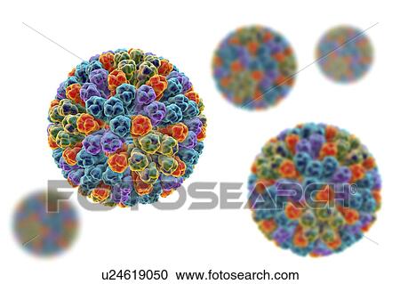 Stock Image - Rotavirus particle, illustration. Fotosearch