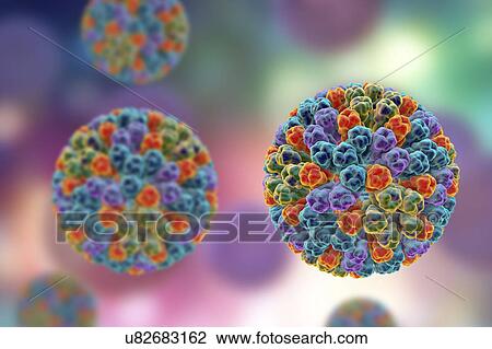 Rotavirus particle, illustration View Large Photo Image Stock Image - Rotavirus particle, illustration. Fotosearch
