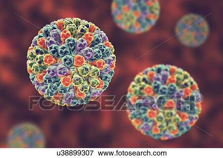 Stock Photo - Rotavirus particle, illustration. Fotosearch