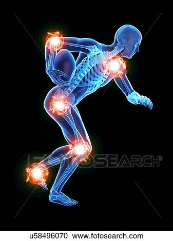 Rugby player's joints, illustration. View Large Photo Image Stock Image - Rugby player's joints, illustration.. Fotosearch