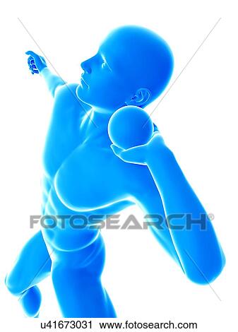 Shot putter, illustration. View Large Photo Image Stock Image - Shot putter, illustration.. Fotosearch
