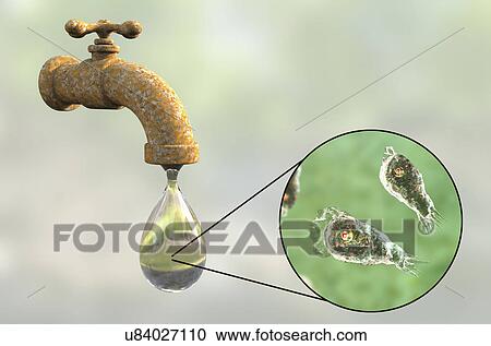 Stock Image - Tap water contaminated by amoeba, illustration. Fotosearch