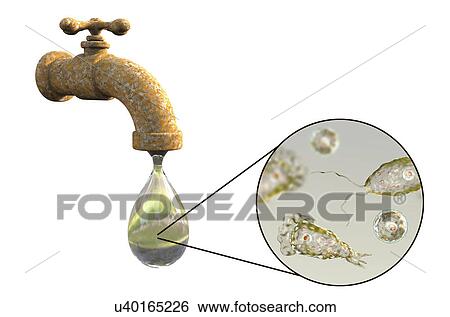 Stock Photograph - Tap water contaminated by amoeba, illustration. Fotosearch