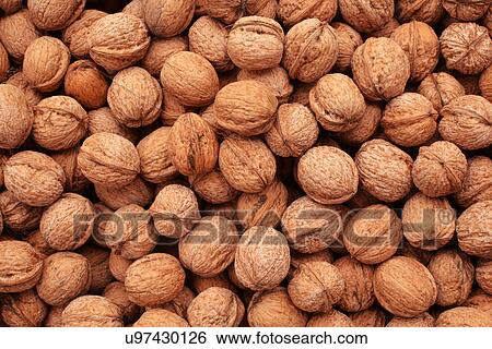 Stock Photograph - Walnuts. Fotosearch