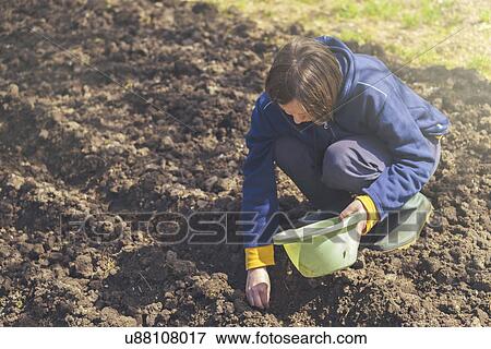 Stock Photo - Woman sowing onions in organic vegetable garden. Fotosearch