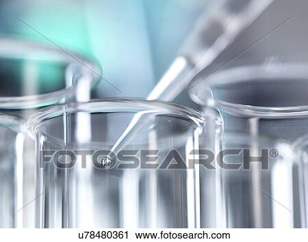 Stock Image - A pipette placing a sample into a test tube during a experiment in the laboratory.. Fotosearch