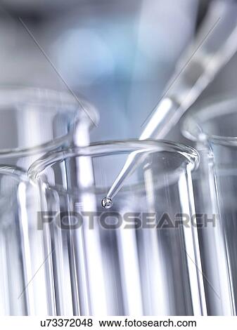 Stock Photo - A pipette placing a sample into a test tube during a experiment in the laboratory.. Fotosearch