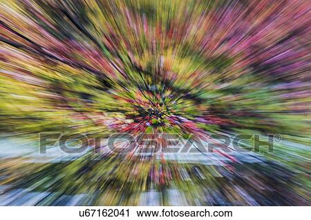 Stock Image - Abstract purple and green defocused forest. Fotosearch