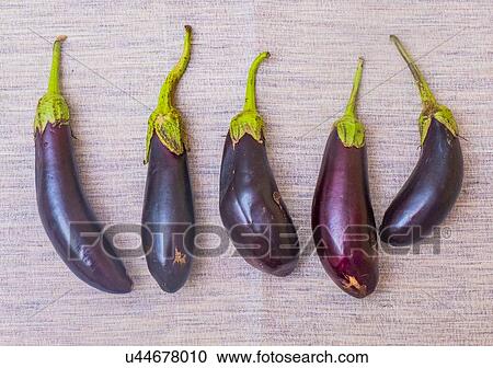 Aubergines in a row, overhead view View Large Photo Image Stock Image - Aubergines in a row, overhead view. Fotosearch