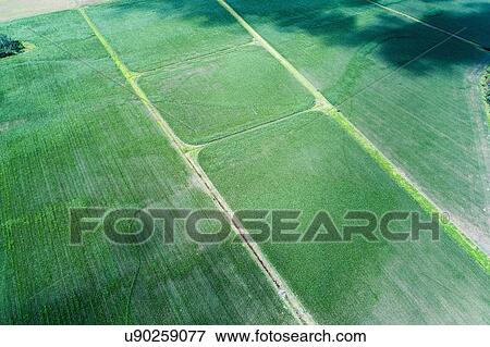 Australia, Landscape with fields at Kangaroo Valley View Large Photo Image Stock Photo - Australia, Landscape with fields at Kangaroo Valley. Fotosearch