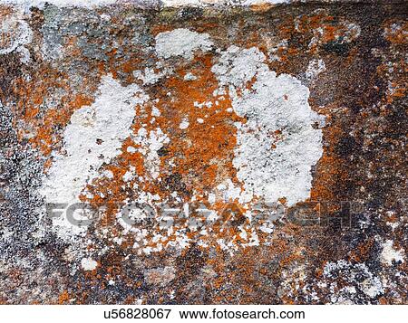 Stock Photo - Australia, New South Wales, Abstract pattern on rock in Blue Mountains. Fotosearch