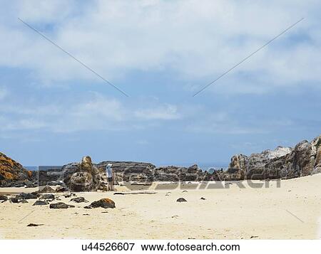 Stock Photo - Australia, New South Wales, Bermagui, Woman walking along sandy beach. Fotosearch