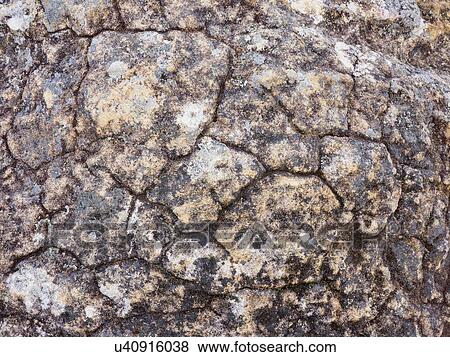 Stock Photo - Australia, New South Wales, Cracked pattern on rock in Blue Mountains. Fotosearch