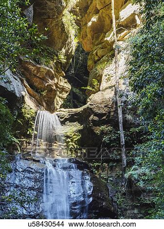 Australia, New South Wales, Waterfall called Wentworth Falls View Large Photo Image Picture - Australia, New South Wales, Waterfall called Wentworth Falls. Fotosearch