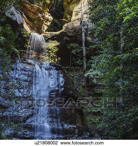 Stock Image - Australia, New South Wales, Waterfall called Wentworth Falls. Fotosearch