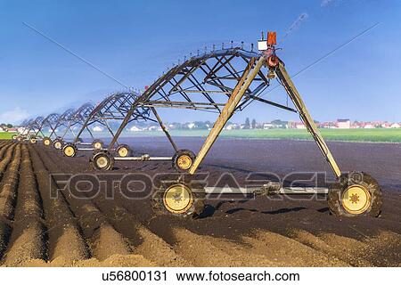 Stock Image - Automated farming irrigation sprinklers.. Fotosearch