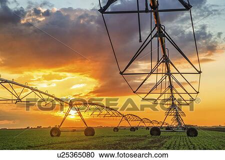 Automated farming irrigation system at sunset. View Large Photo Image Stock Image - Automated farming irrigation system at sunset.. Fotosearch