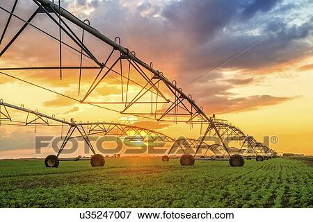 Automated farming irrigation system at sunset. View Large Photo Image Stock Photo - Automated farming irrigation system at sunset.. Fotosearch