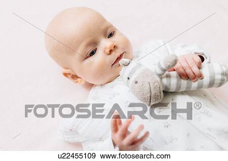 Baby girl lying on back holding soft toy View Large Photo Image Stock Photo - Baby girl lying on back holding soft toy. Fotosearch