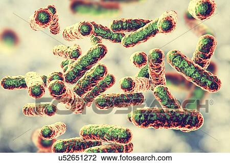 Stock Image - Bartonella quintana bacteria, illustration. This is the causative agent of trench fever, and was formerly known as Rochalimaea bacteria.. Fotosearch