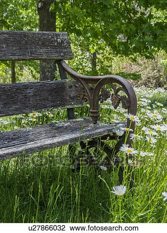 Stock Image - Bench among green grass and wild flowers. Fotosearch