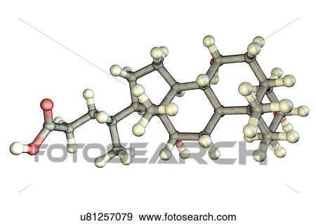 Stock Photo - Bile acid (cholic acid, cholate) molecule. Cholic acid is the main bile acid in humans. Atoms are represented as spheres and are colour-coded: hydrogen (white), carbon (grey) and oxygen (red).. Fotosearch