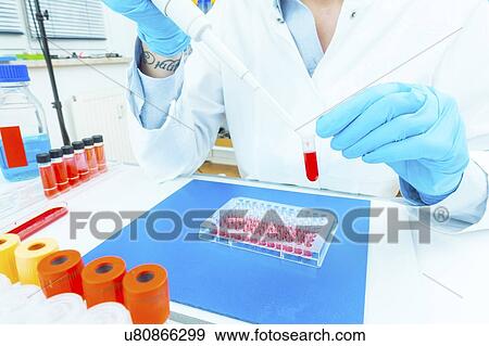Biological research. Technician pipetting solution. View Large Photo Image Stock Photo - Biological research. Technician pipetting solution.. Fotosearch