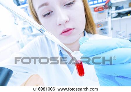 Biological research. Technician pipetting solution. View Large Photo Image Stock Photograph - Biological research. Technician pipetting solution.. Fotosearch
