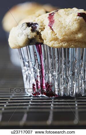 Stock Photo - Blueberry muffin in cupcake holder. Fotosearch