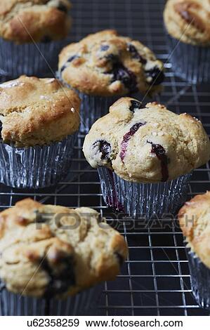 Stock Photo - Blueberry muffins in cupcake holders. Fotosearch