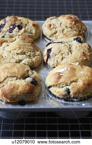 Blueberry muffins on baking sheet View Large Photo Image Stock Image - Blueberry muffins on baking sheet. Fotosearch